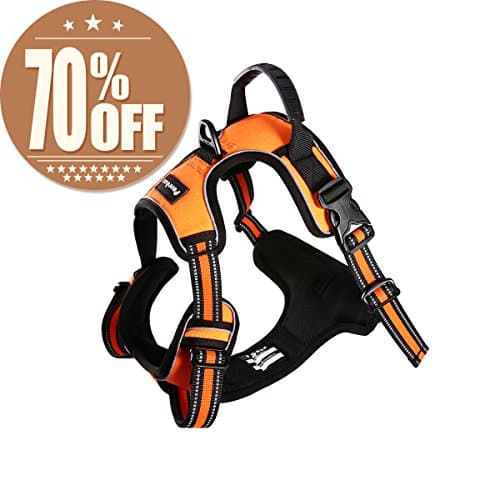 PUREBOX Dog Harness, No-Pull Front Range Comfort Harness Four Points of Adjustment Dog Harness 3M Reflective Oxford Material, Easy Control