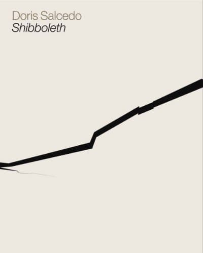 Doris Salcedo: Shibboleth