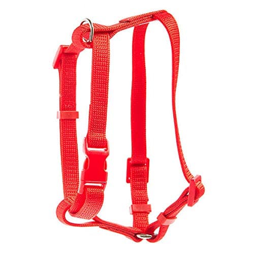 Grreat ChoiceRed Cat Harness