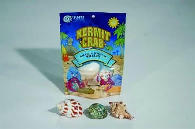 SFM33332 Hermit Crab Shell, Medium, 3-Piece per Pack