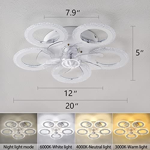 Ceiling Fan with Lights