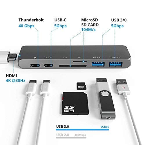 Green Iguana Fan Pull