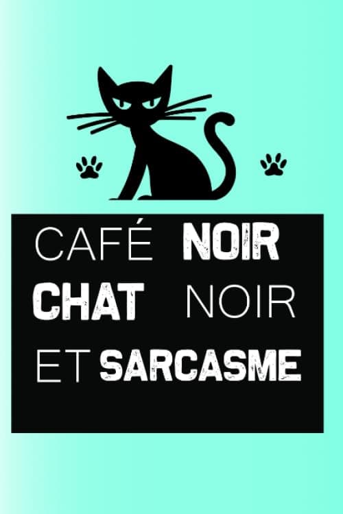 CHAT NOIR: carnet de notes 6x9 100 pages (Floki)