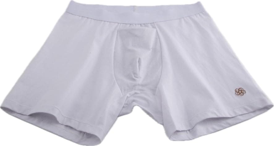 LEELA QUANTUM TECHLEELA QUANTUM TECH EMF Blocking Underwear for Men silver fabric, protects against high-frequency radiation & electrosmog