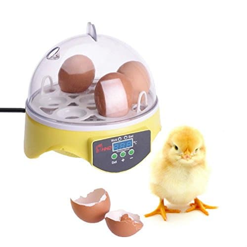 Mini Egg Brooder Egg Hatcher Egg Incubator, Egg Incubator and Hatcher for Chicken Birds Pigeon Quail Egg