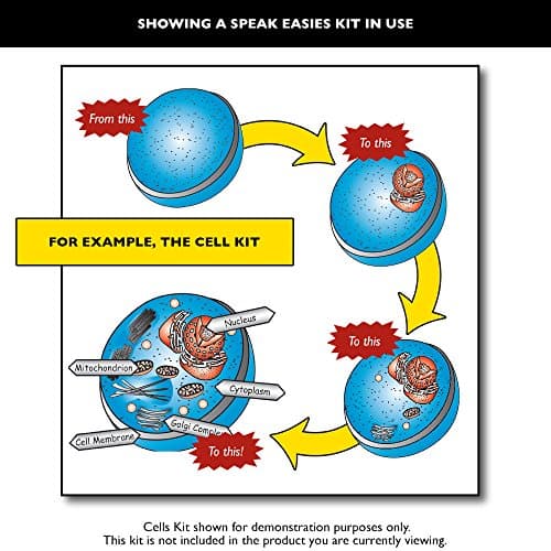 Speak Easies Cell Membrane Board Kit