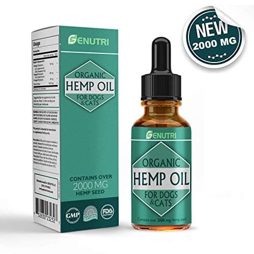 Runpettee Dog Training Collar Small