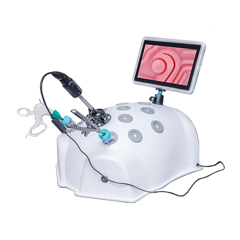 Laparoscopic Training Box, Laparoscopic Simulator with 11-inch High-Definition Screen, 30° Endoscope, 4 Surgical Instruments 8 Training Modules, for Medical Doctor and Students