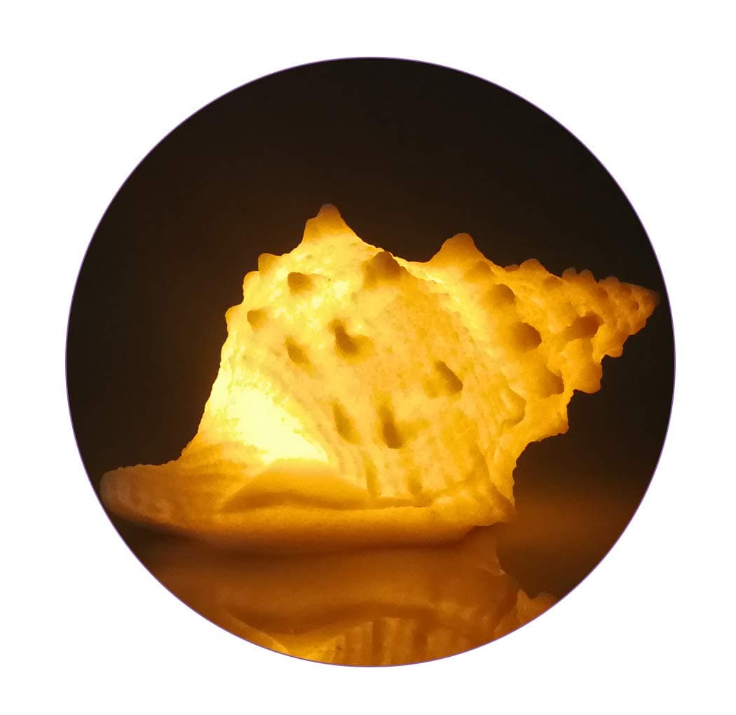 GREENIC Portable Conch Shell Beach Themed Night Light w Timer for Kids Adults Bedroom Nightstand Lamp Nautical Lighting Battery Operated, Warm White