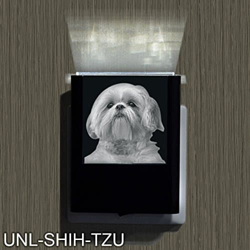 Shih-Tzu-2