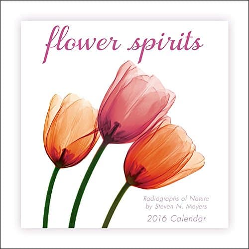 Flower Spirits Mini Wall Calendar