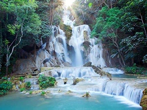 ELL DECOR Vaastu Waterfall Posters