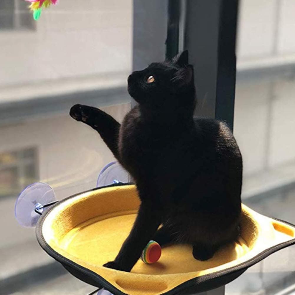 Cat Window Perch, Cat Window Bed Hammock Window Mounted Cat Perch Sunny Seat, Cats Sunny Seats for Small Indoor Cat Up to 33 Lb with Suction Cups