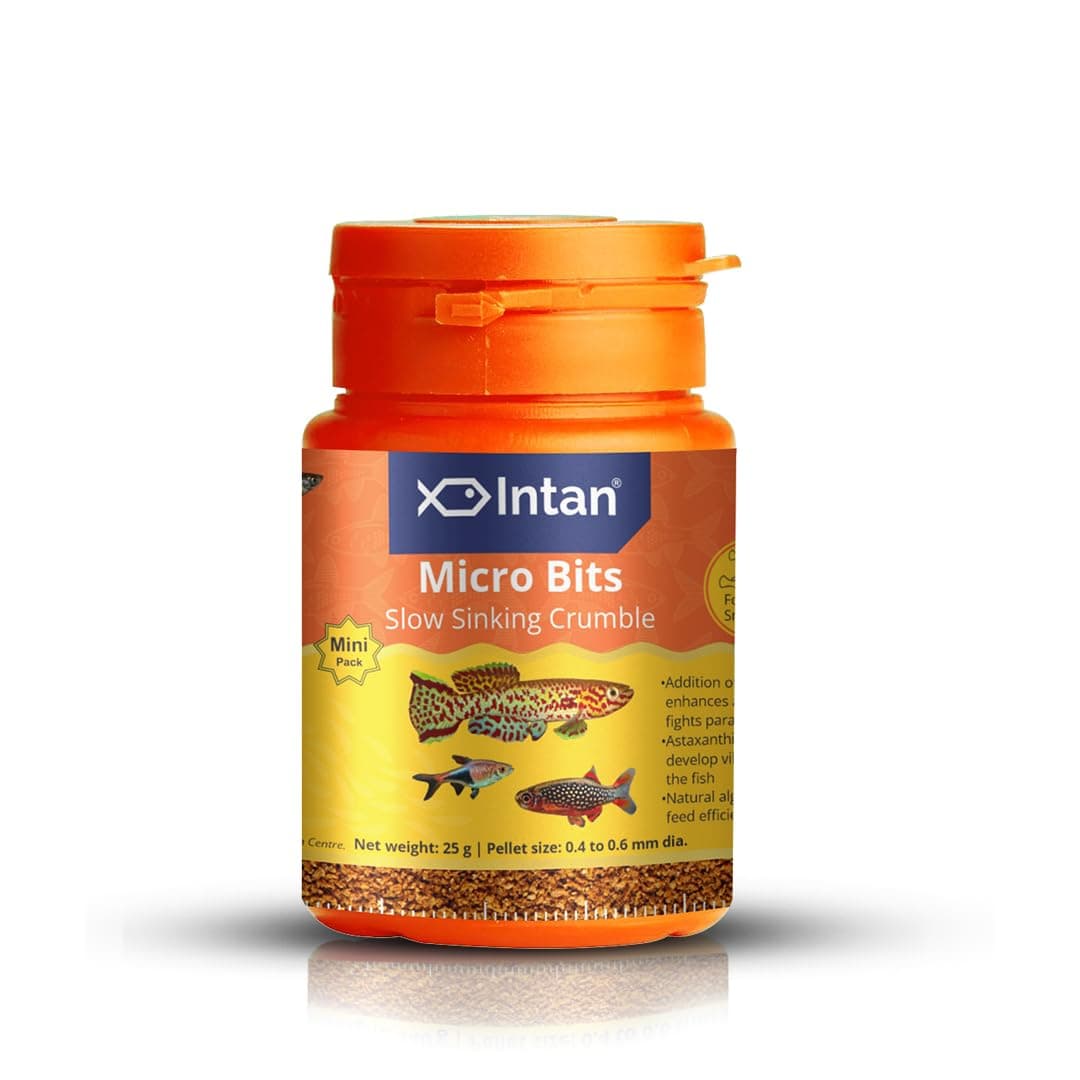 Intan Micro Bits (0.4-0.6mm Slow Sinking Crumble) | 25gm - Highly Nutritious Ornamental Fish Food for Small Mouths - Killifish, Tetras, Rasboras & Danios | Growel Feeds