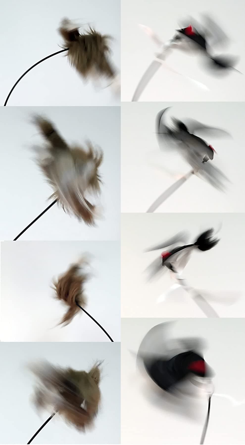 Icotec Nomad+ Programmable Predator Call/Decoy Combo with Bluetooth - 165 Professional Sounds Included - Plays 2 Sounds simultaneously - Holds up to 2,000 Sounds - Pristine Sound Quality