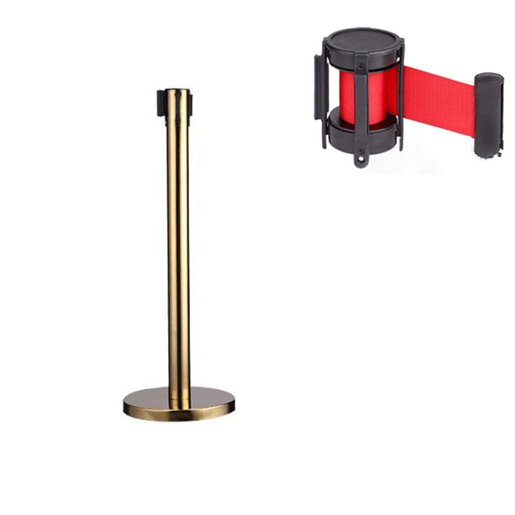 Queue Barrier Posts Stands,Retractable/Stretch Crowd Control Security Barriers Belt Stanchion Set,Optional Length (Color : Titanium, Size : 3M)