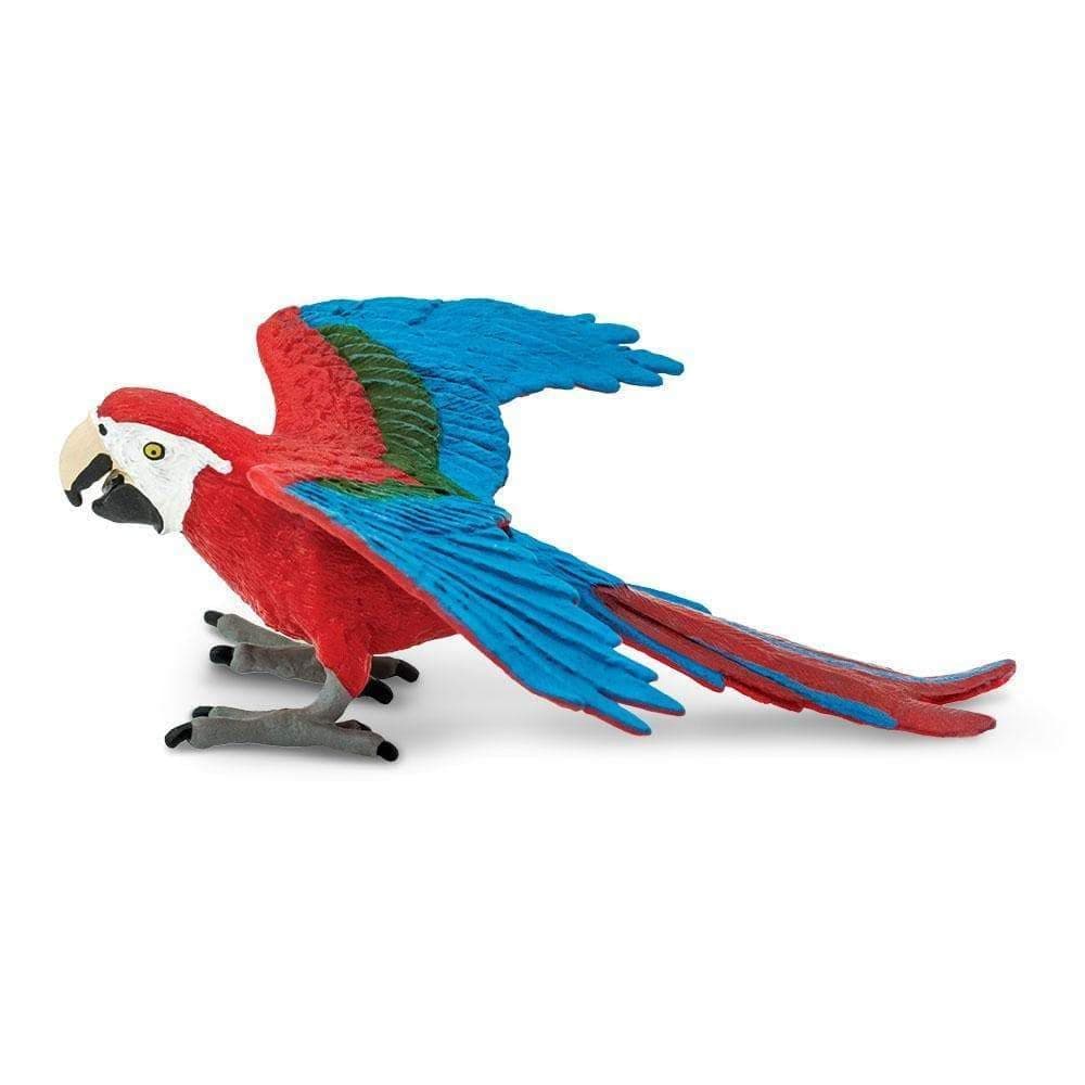 263929 Green Winged Macaw