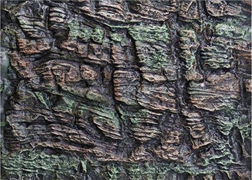 3D Aquarium background Two-toned backing x3