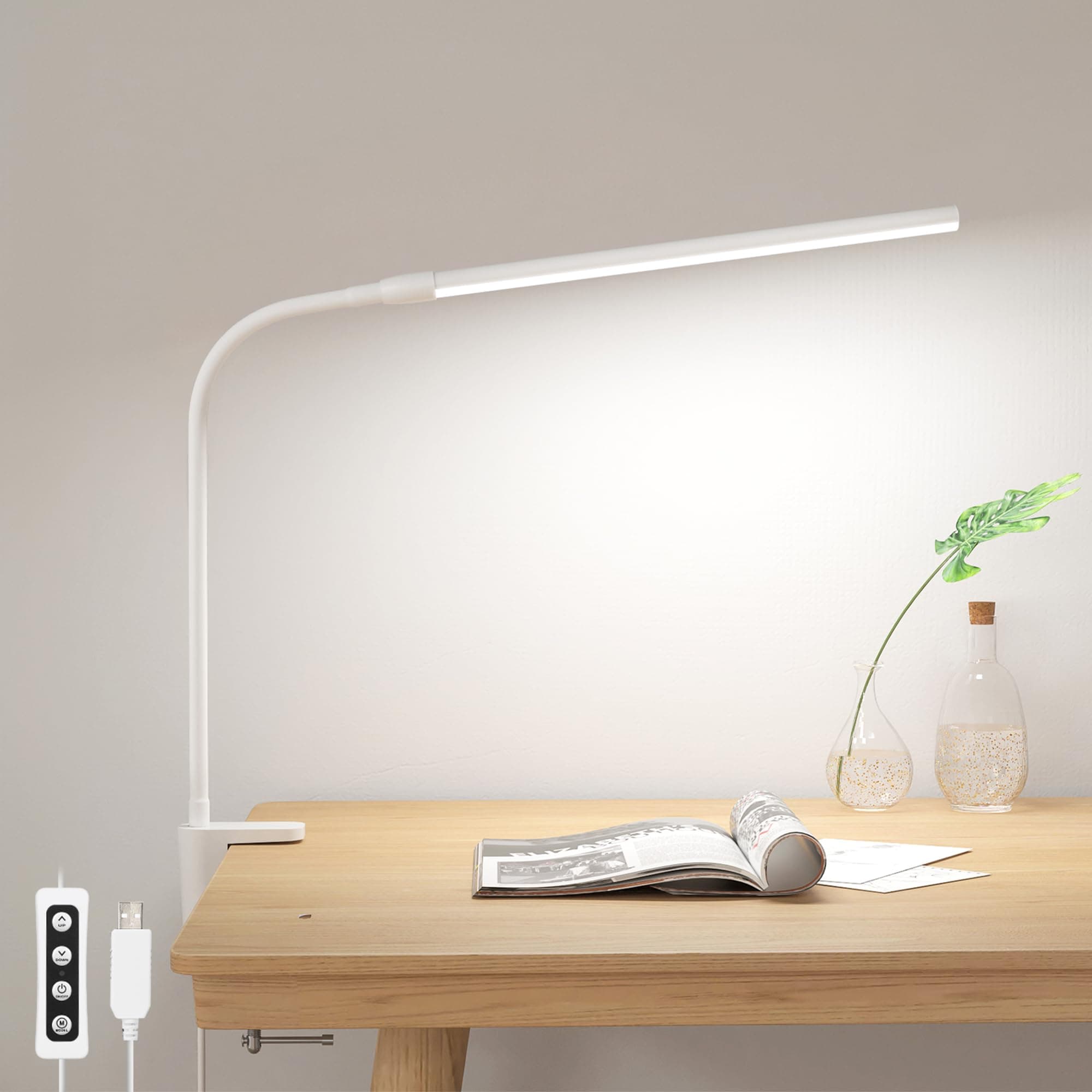 Desk Lamp 310005-DWW