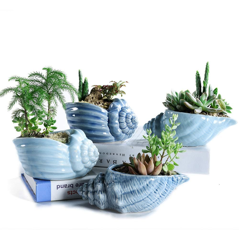 Bonsai Pots 5.5 Inch Blue Conch Ocean Series Ceramic Base Serial Set Succulent Plant Pot Cactus Plant Pot Flower Pot Container Planter With Drainage Hole Gift Idea 4 In Set(Plants Not Included)