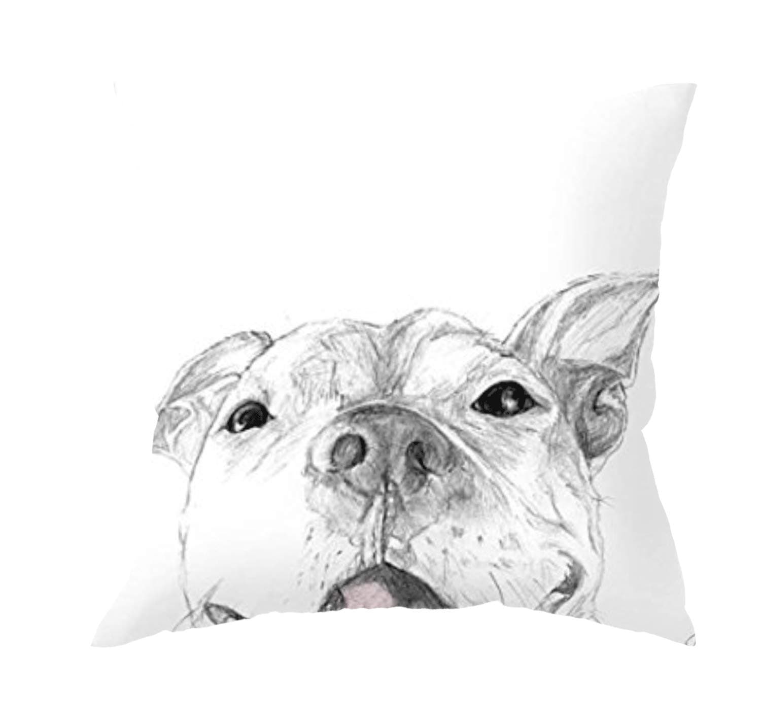 NextchangeSketch A Smile is Worth A Thousand Words A Pit Bull Smile Dog Cotton Pillowcase for Sofa Bed Chair Car (Two Sides) Pillow Cover (1, 18x18 in)