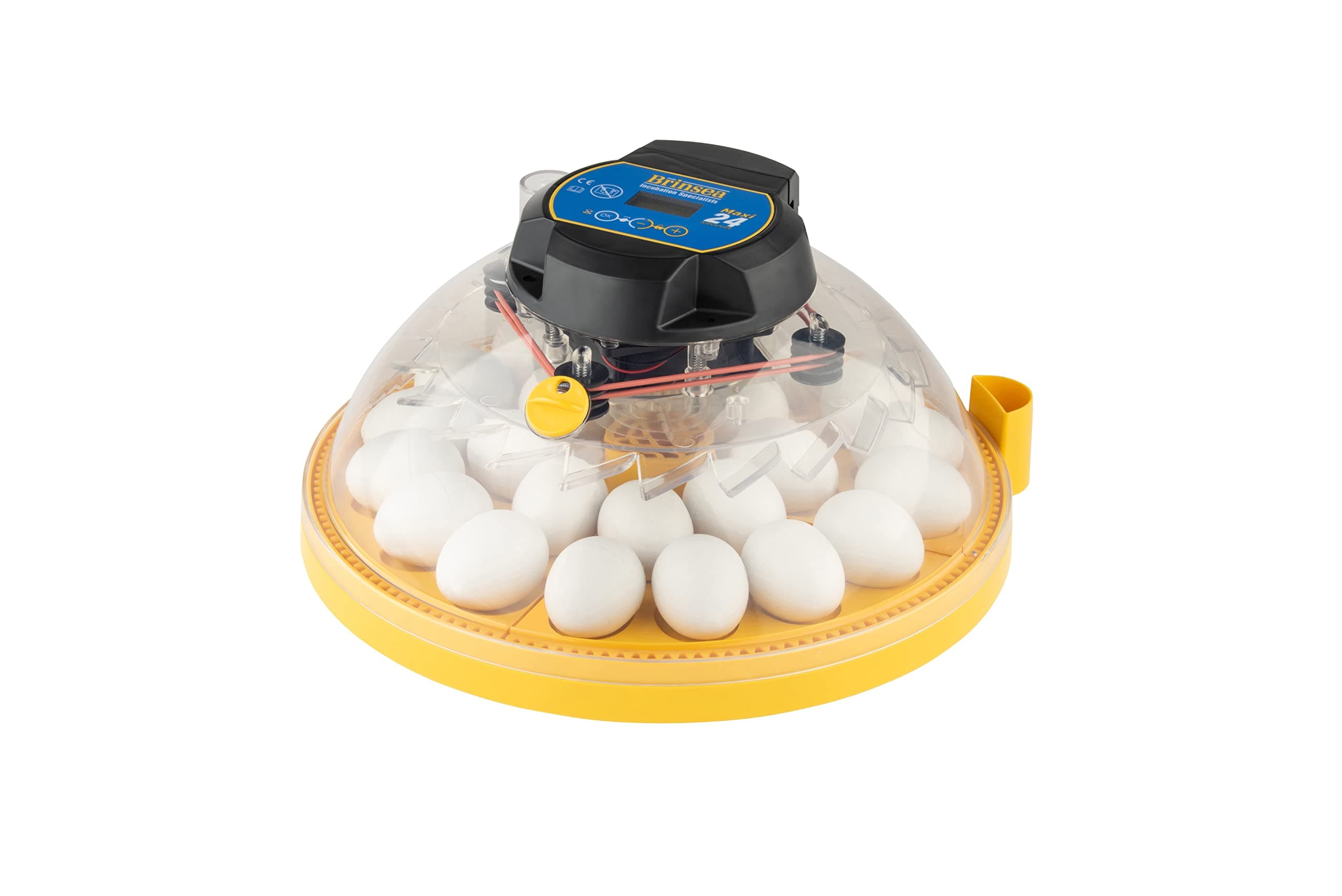 Maxi 24 Advance Egg Incubator with Automatic Egg Turning and Temperature Control for Hatching 24 Chicken, Duck, or Other Eggs,- Optimal Flexibility with Mix & Match Sizes