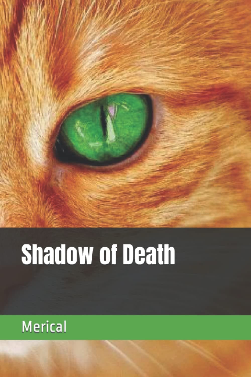 Shadow of Death