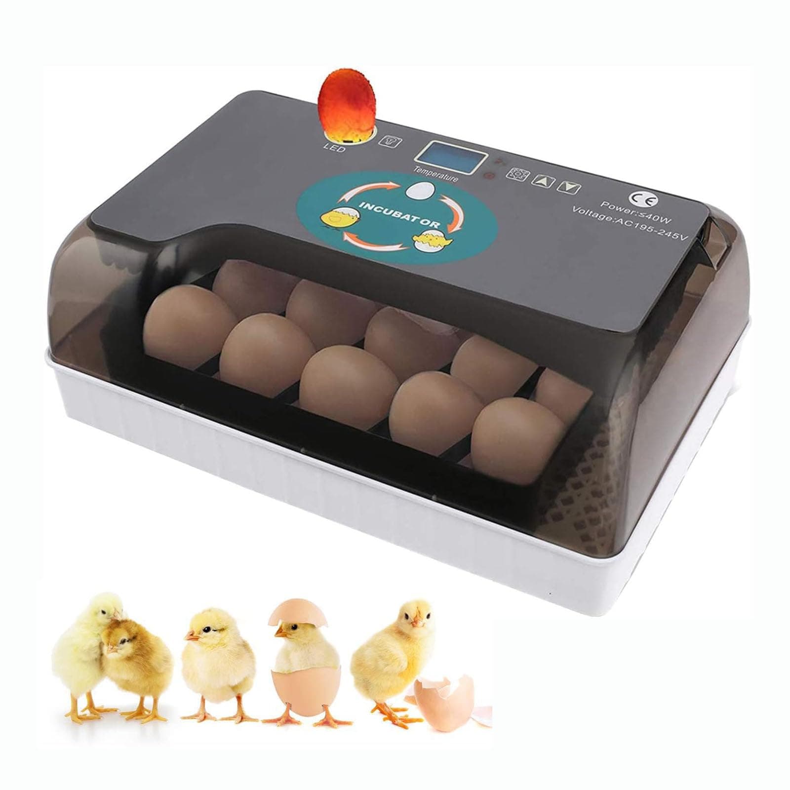 Automatic Egg Incubator, 12 Egg Incubator Digital Hatcher with Egg Turning, Chicken Eggs Incubator for Hatching Chickens, Ducks, Geese, Quails, and Birds
