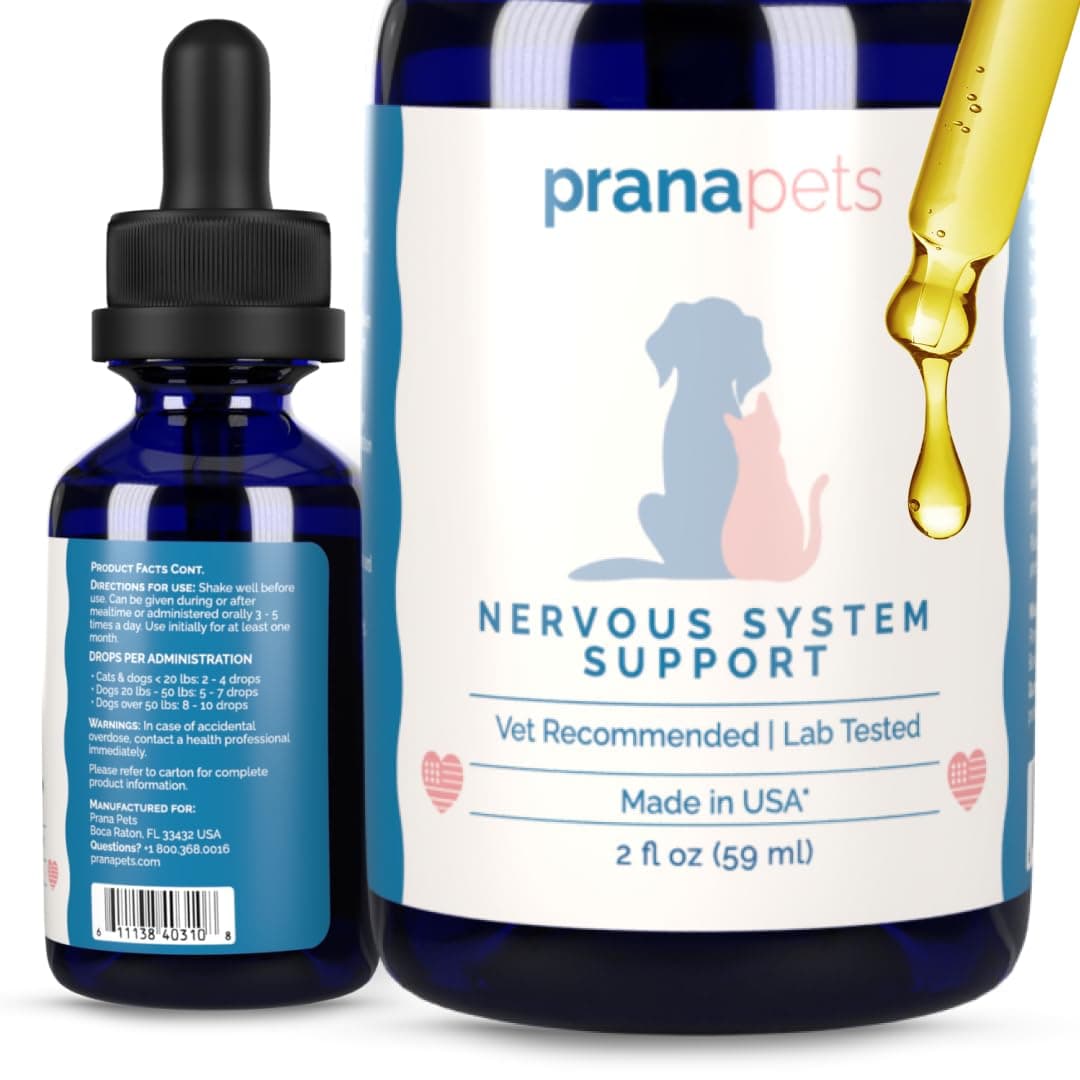 Nervous System Support