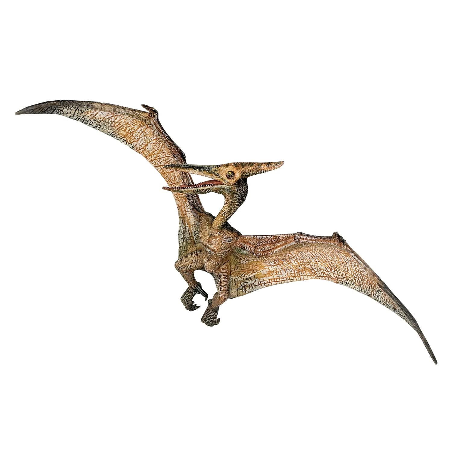 The Dinosaur Figure, Pteranodon, 8.8cm