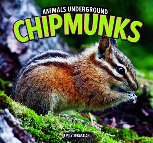 Chipmunks (Animals Underground) Library Binding – Illustrated, August 30, 2011