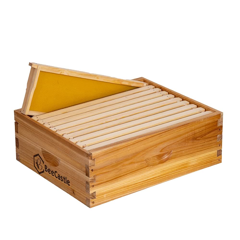 10 Frame Beehive Medium Super Bee Hive Box Dipped in 100% Beeswax Include Beehive Frames with Beeswaxed Food Grade Plastic Foundation