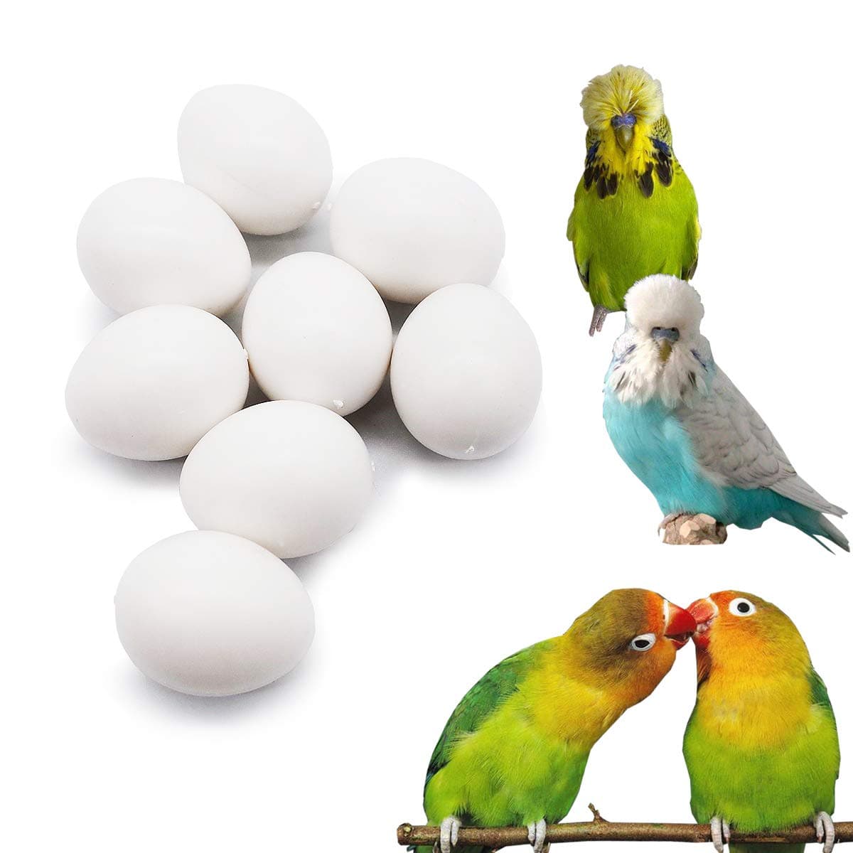 FOIBURELY 8 Pcs Solid Parrot Plastic Eggs Hatching Eggs Lovebird, Bourkes, Lineoleated, Eng Budgie. Trick The Birds to Stop Laying Eggs, Fake Eggs(22mm*18mm)