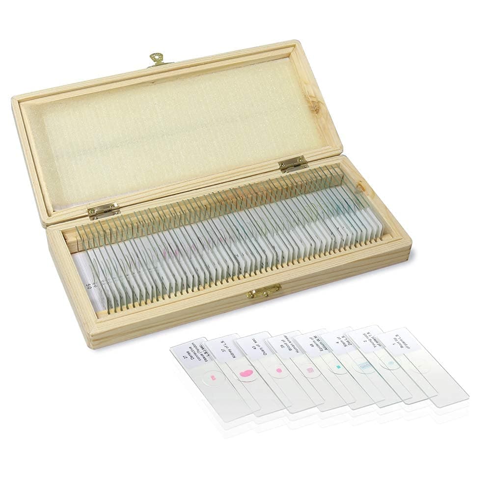 Basic Biology Prepared Microscope Slides, 50pcs of Microscope Specimen Slides, Packed in Fitted Wooden Storage Box, LVQ091