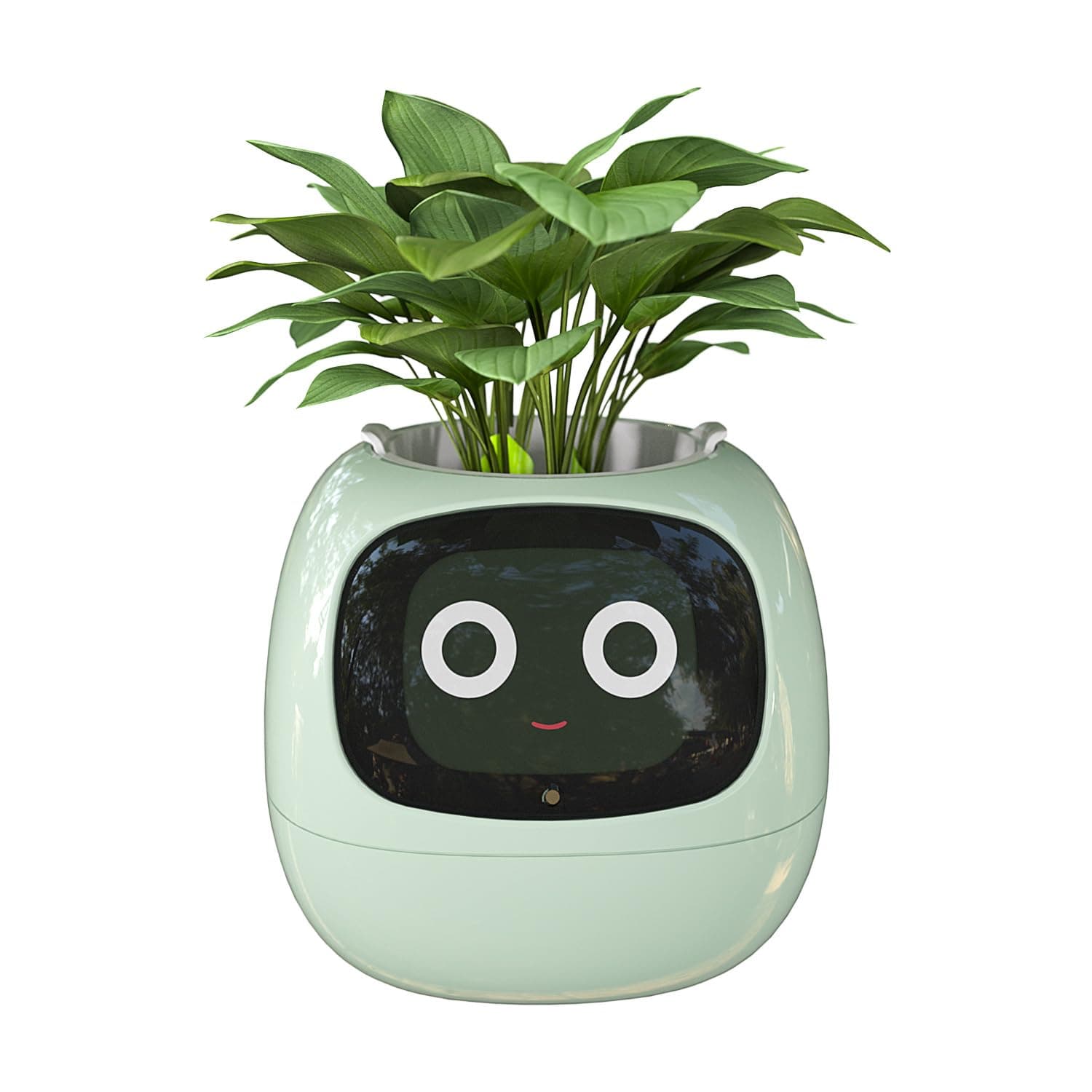 Masdio Smart Flowerpots, with Artificial Intelligence, Time Temperature Display, and Numerous Expressive Animations Based On The Environment, for Indoor Decoration, Gifts(Green)