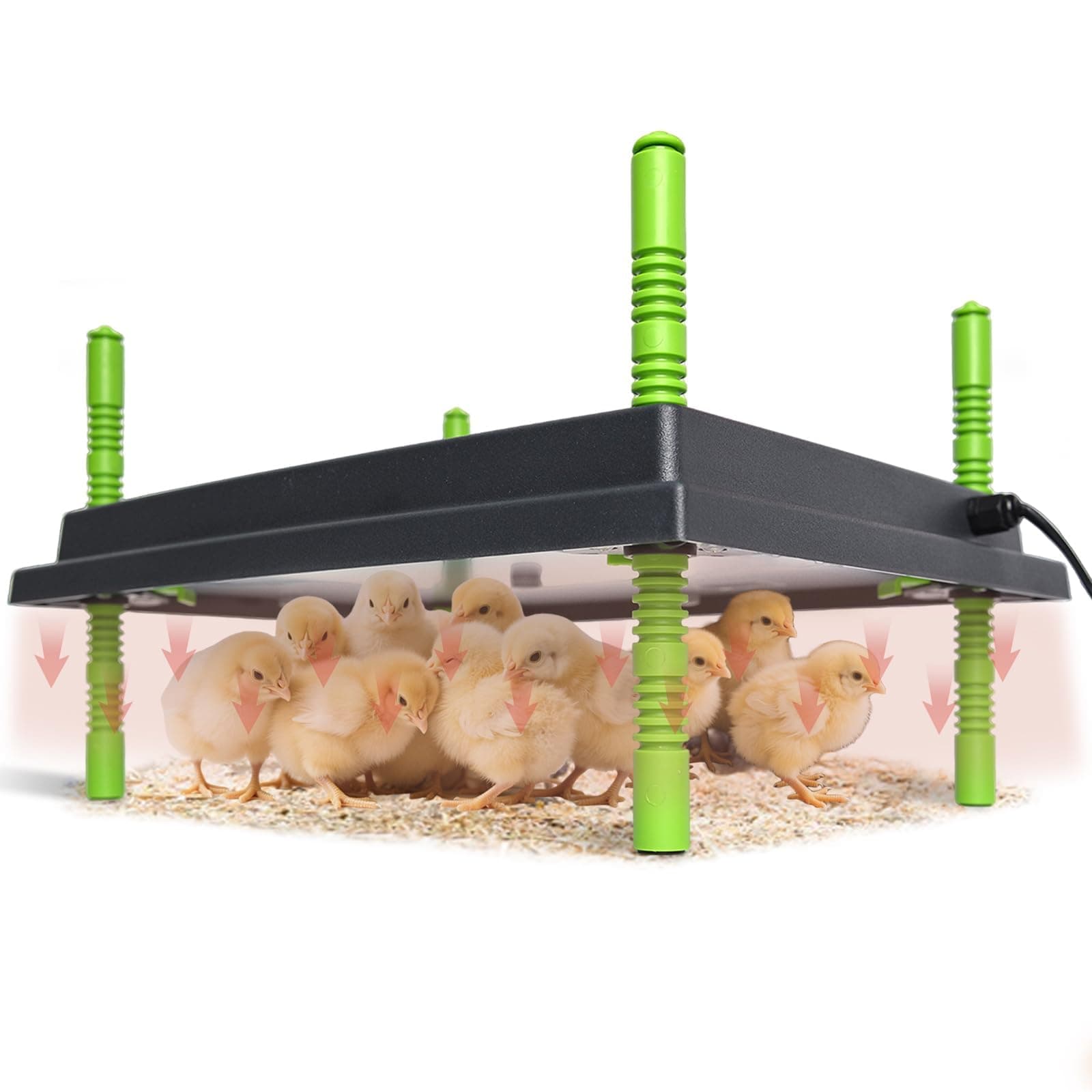 Chick Brooder Heater Plate, 12"x16" Warmer Brooder Plate for Chicks with Adjustable Height & Temperature Display, 30W Temperature Control Brooder Heating Plate for 40 Baby Chicks Duck