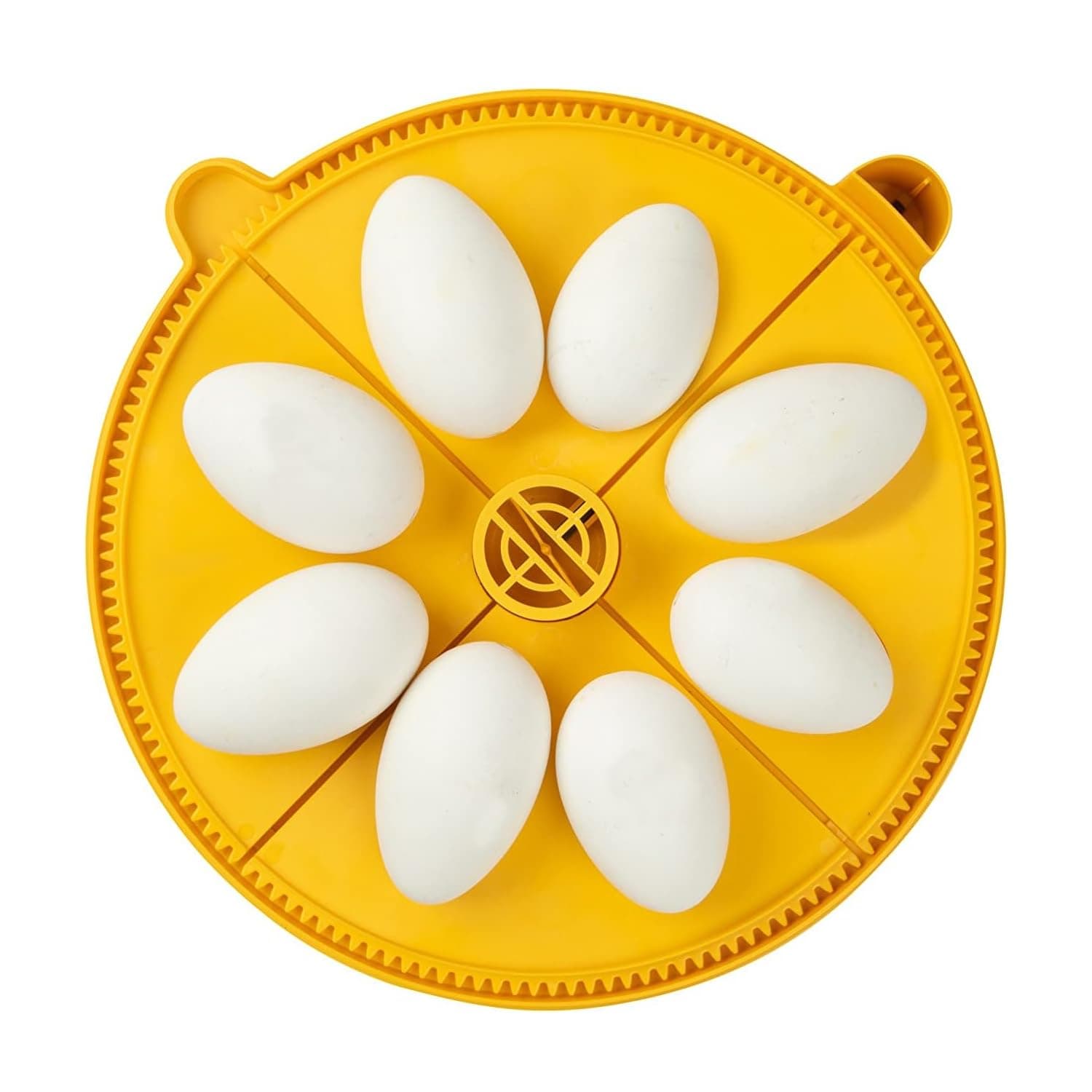 Brinsea Extra Large Egg Quadrant Insert for Maxi Advance Incubator System, Fits 8 Goose-Size Eggs