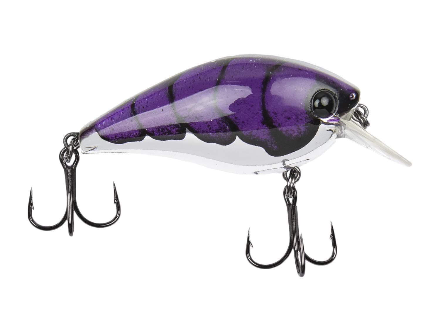 Catch Co Bubonic BUGZ Shallow Diving Squarebill Crankbait Midnight Magic