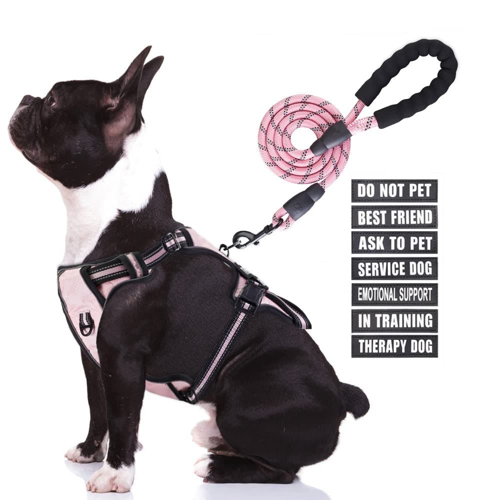 No Pull Dog Harness and Leash Set, Animire in Training Service Dog Vest with 7 Dog Patches, Emotional Support Therapy Dog Harness for Small, Medium, Large, and Extra-Large Dogs
