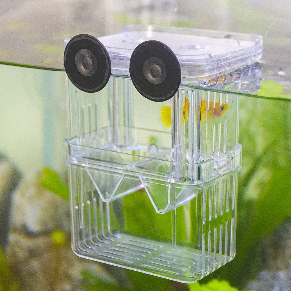 Fish Breeder Box