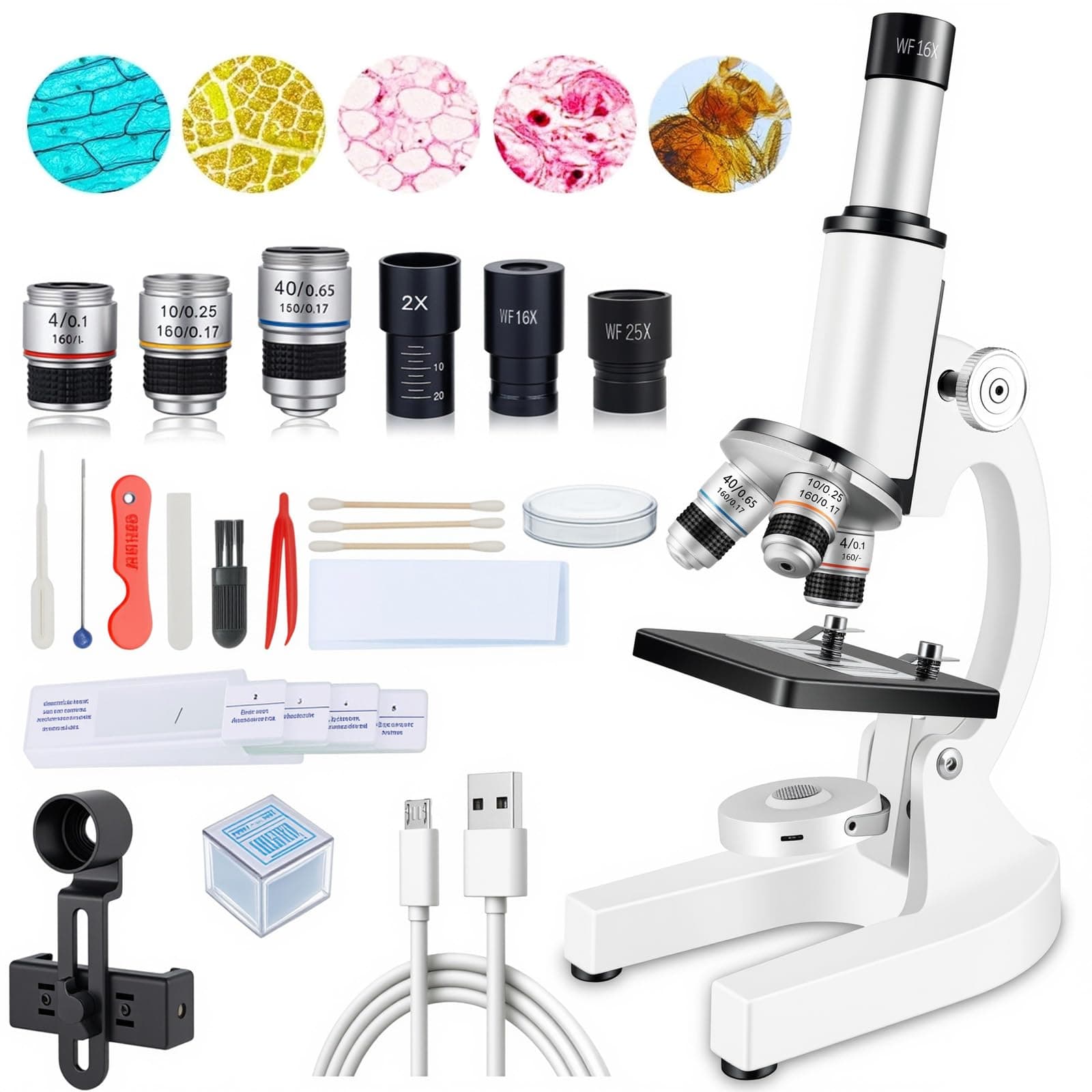 40-6000X Magnification Compound Microscope with Fill Light, Suitable for Adults, Kids, Home School, Laboratory