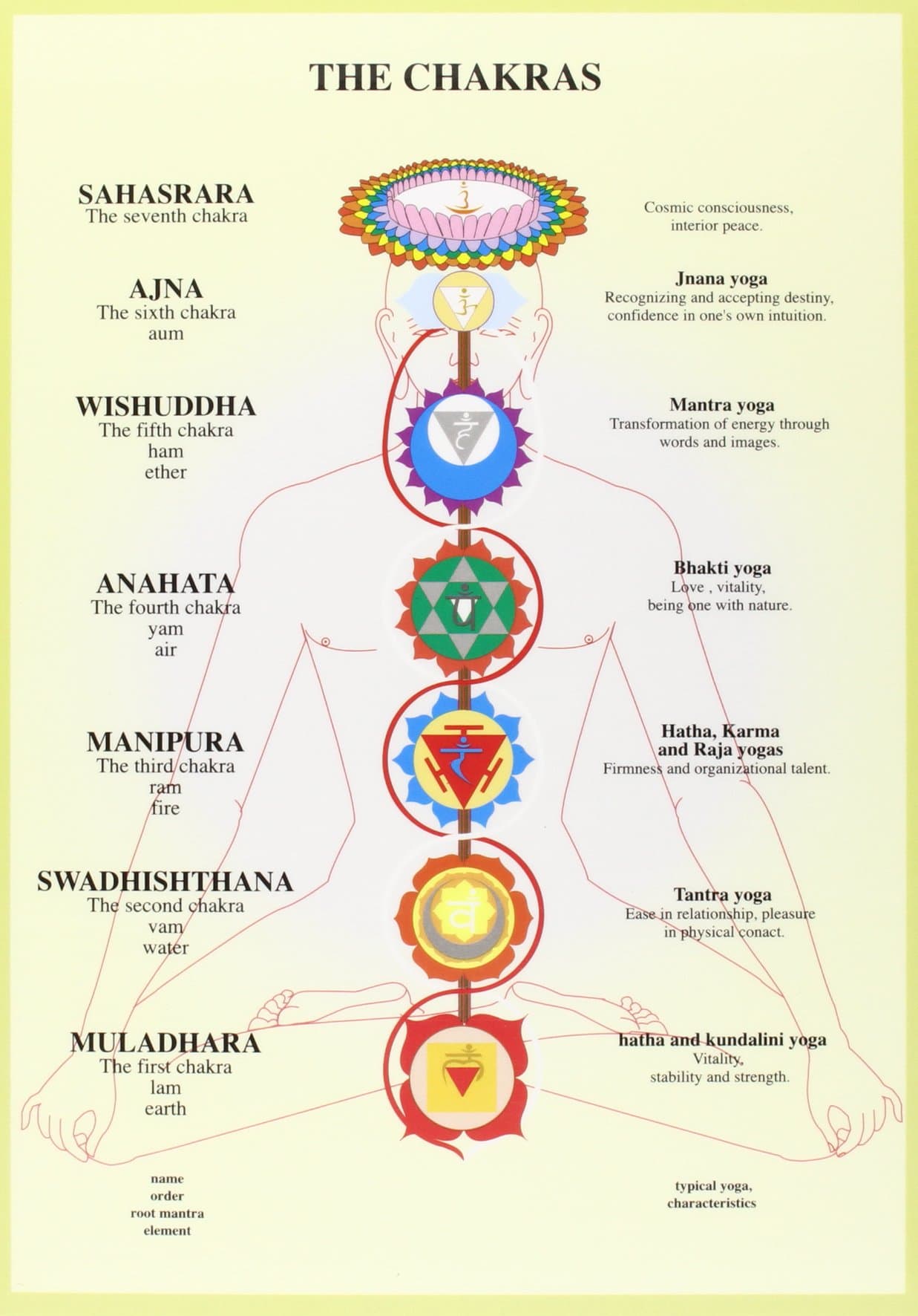 Chakras