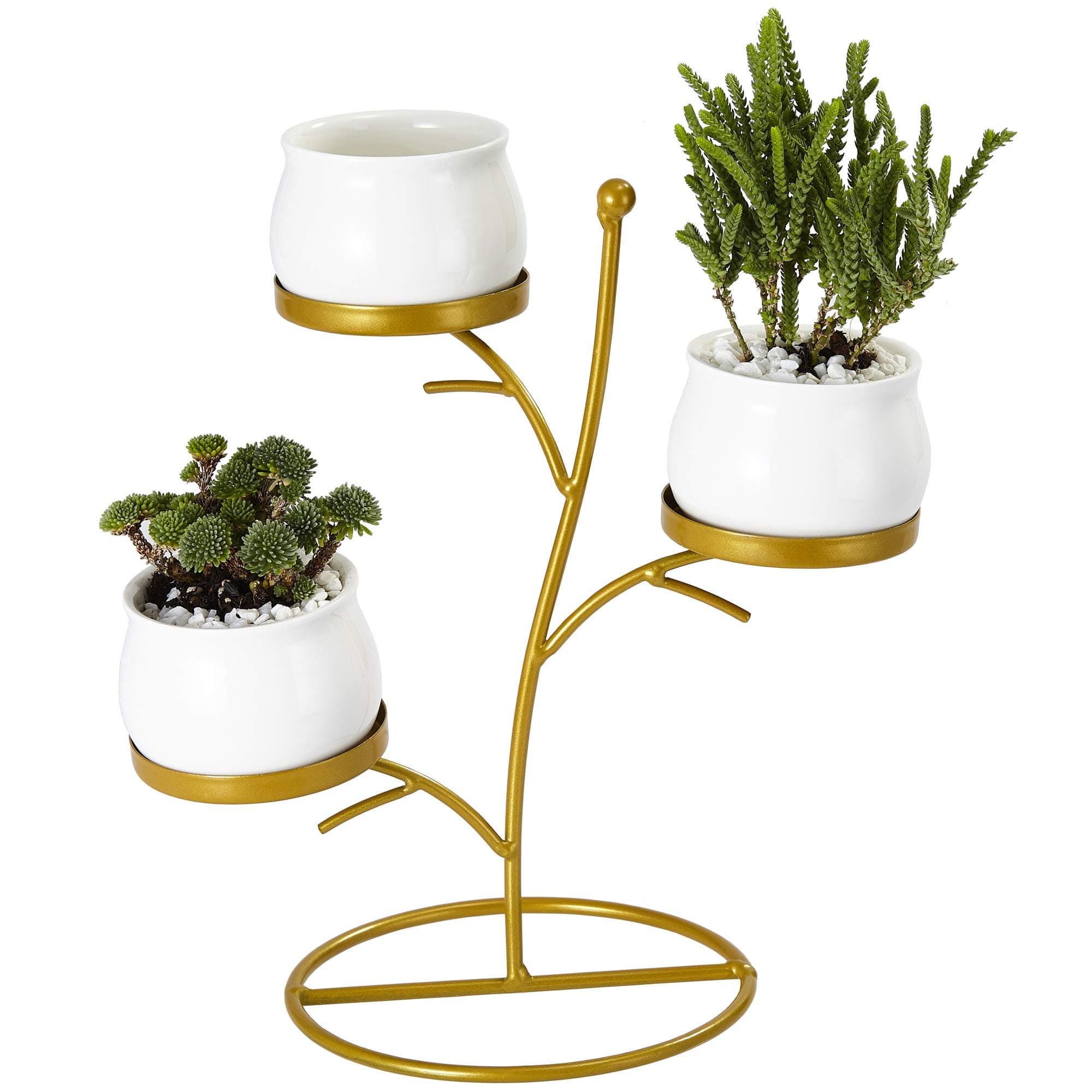 Small Succulent Planter Pots