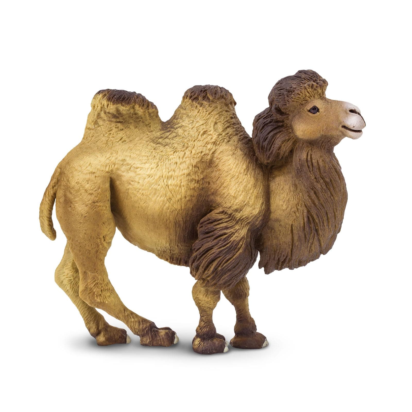 Bactrian Camel