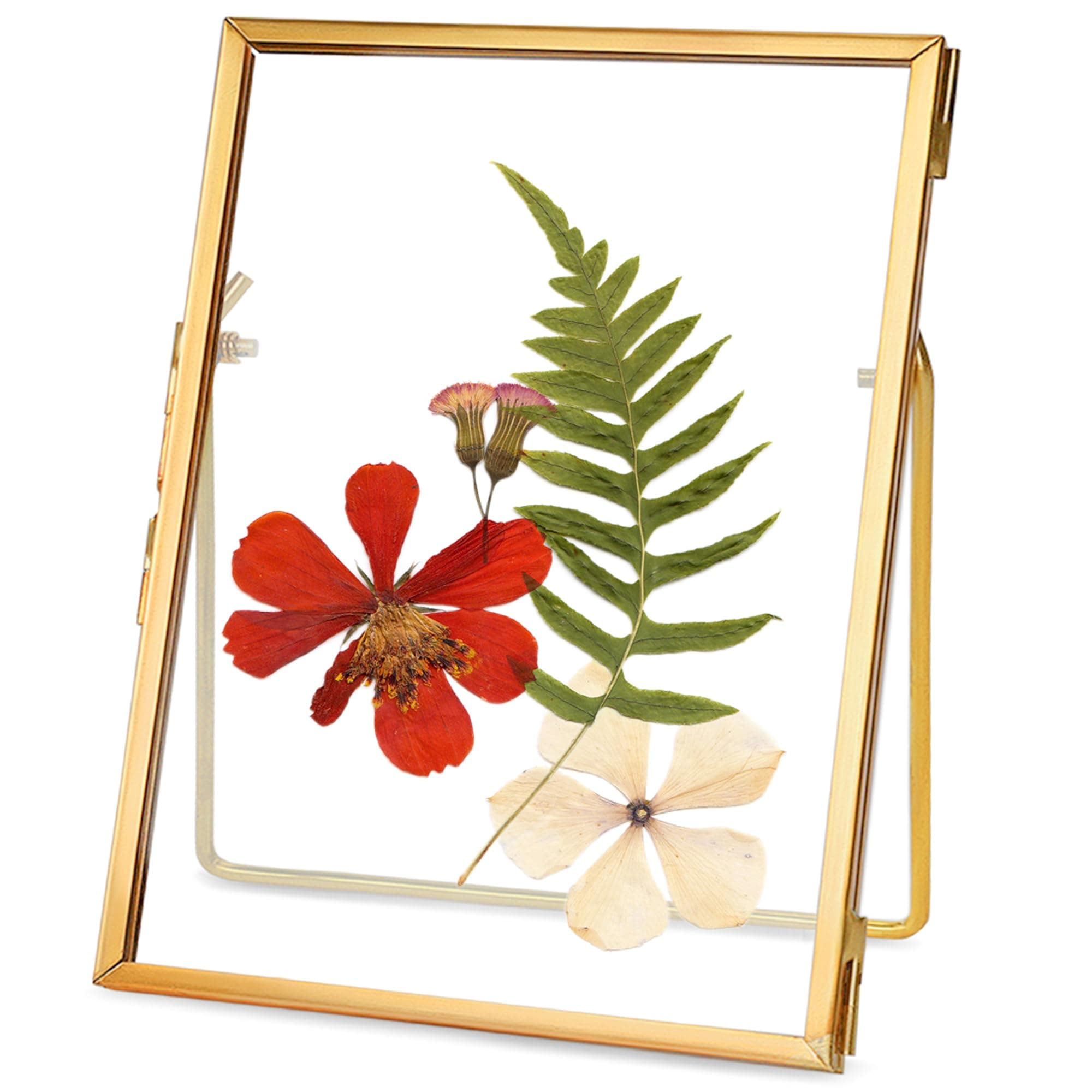 Glass Pressed Flower Frame Handmade, Floating Picture Frames for Pressed Flowers, Tabletop Artwork Photo Frames, Brass Desk Picture Frame for Home Office Plant Specimen, Gold, 4x6 Inches