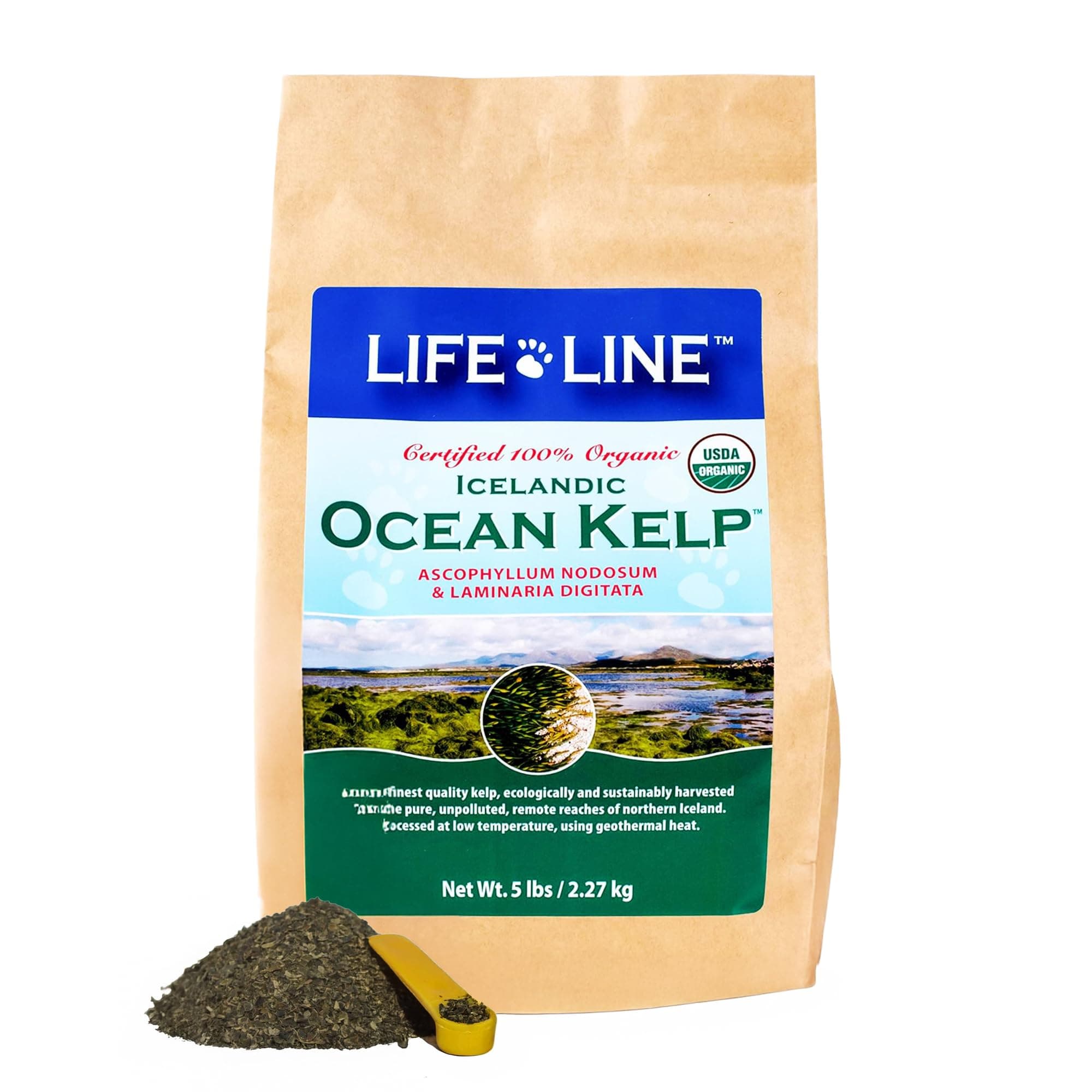 Organic Ocean KELP 5 LB