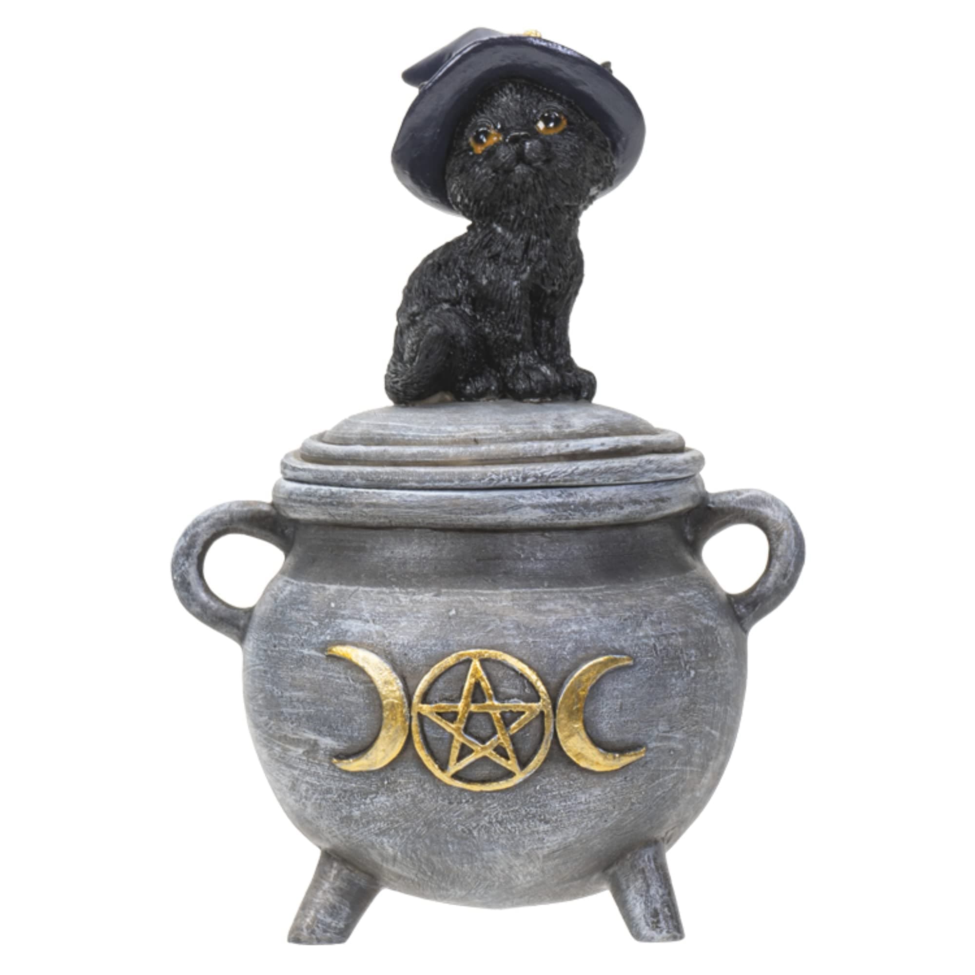 Pacific Giftware Black Cat with Witch Hat Sitting on Cauldron Box, Polyresin Jewelry or Coin Holder, 3.93 Inches x 3.14 Inches x 5.5 Inches