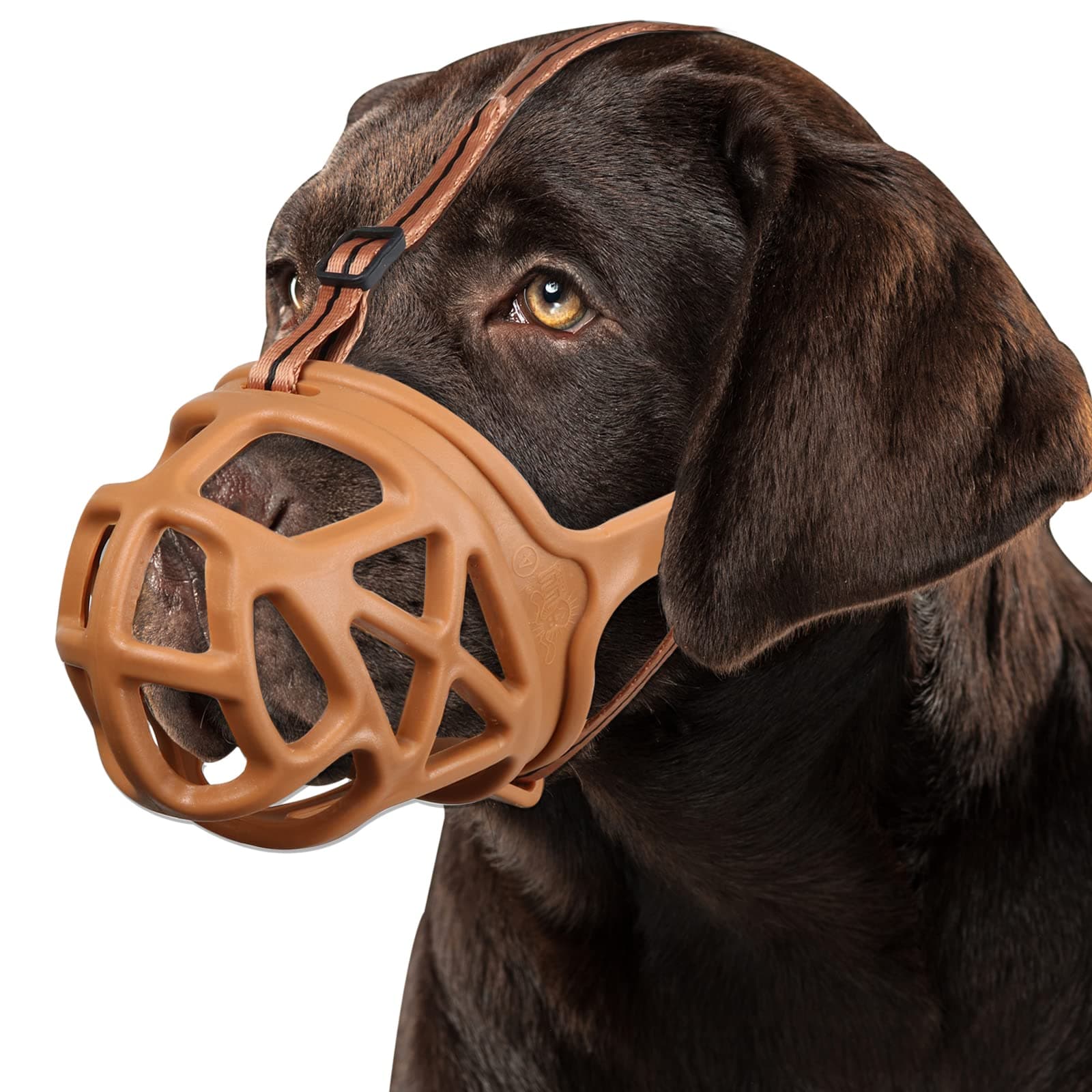BARKLESS Dog Muzzle, Basket Muzzle for Biting, Chewing and Scavenging, Humane Cage Mouth Cover, Perfect for Grooming and Training Small Aggressive Reactive Dogs (XS, Brown)