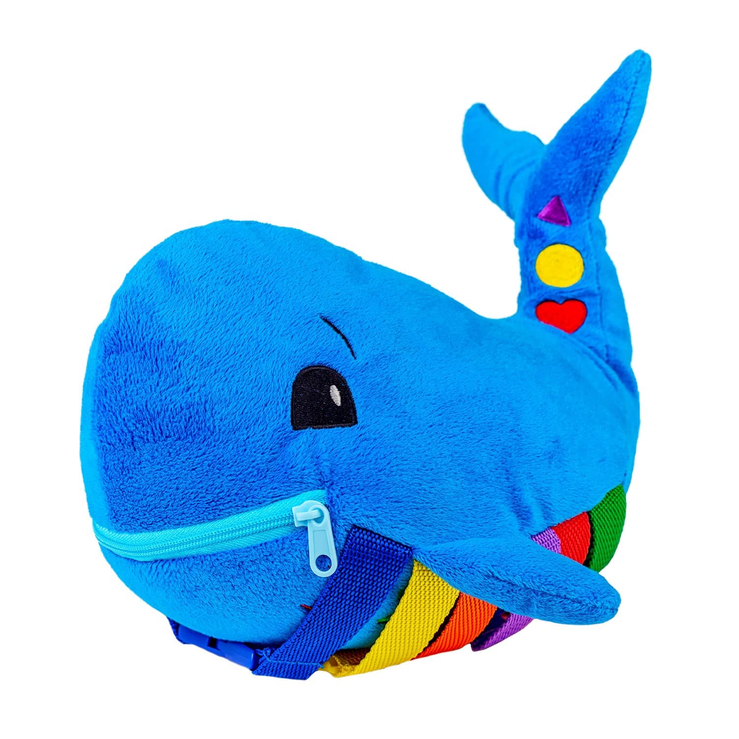 Buckle Toys - Blu Whale - Develop Motor Skills and Problem Solving - Counting and Color Recognition - Easy Travel Toy - Learning Material - Pre K Activity Stuffed Animal