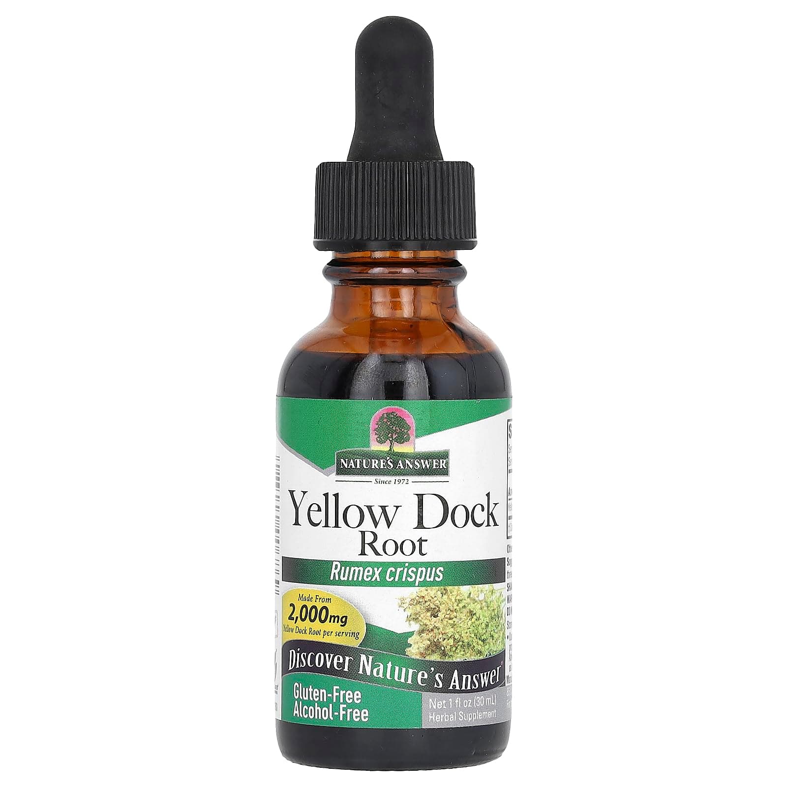 Nature's Answer Yellow Dock Root Alcohol Free 2000mg 1oz | Promotes Liver Function | Natural Body Detox | Supports Digestion | Gluten-Free, Non-GMO, Vegan | Single Count
